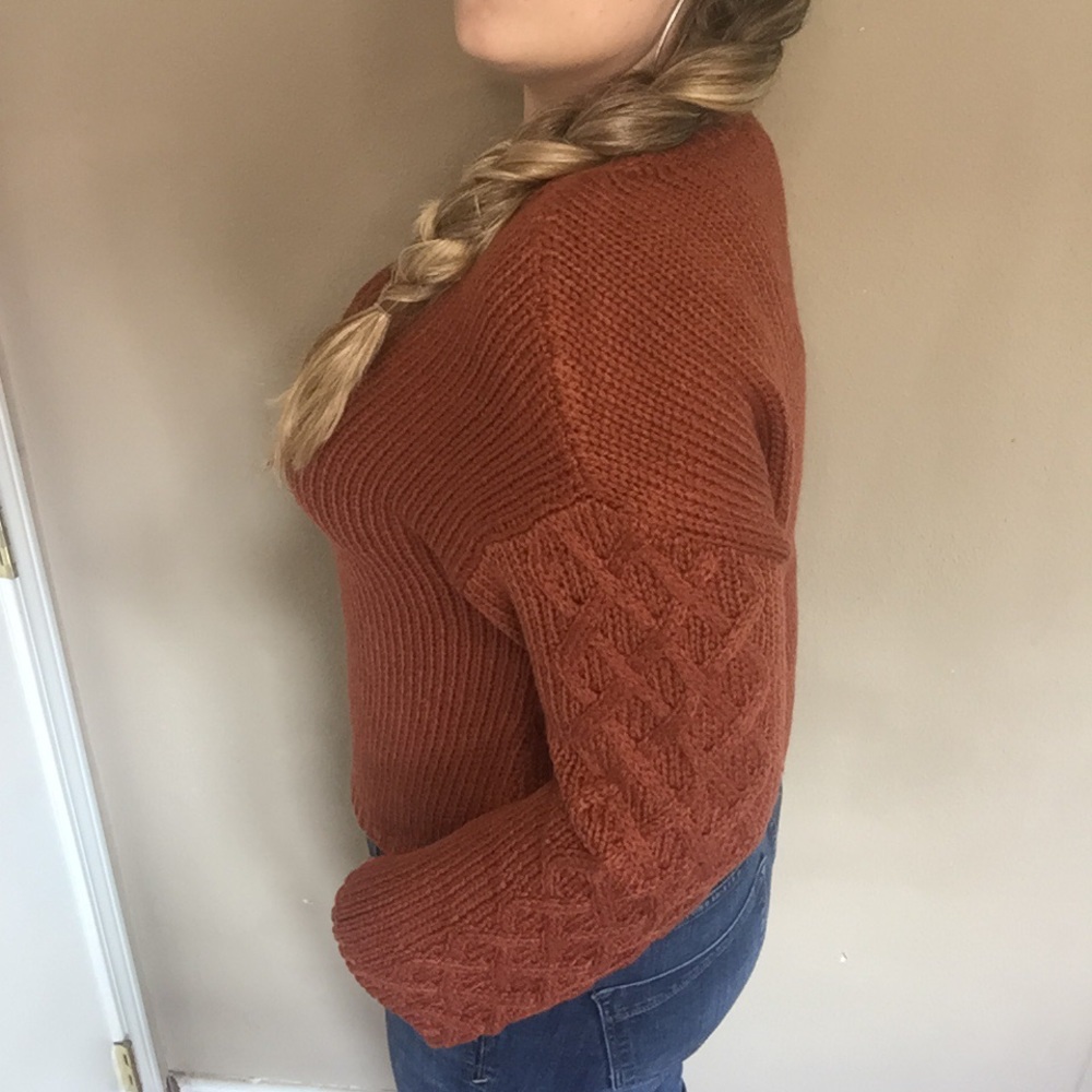 NWT BB DAKOTA Retro Active Cable Knit Sweater Rust - Picture 8 of 15